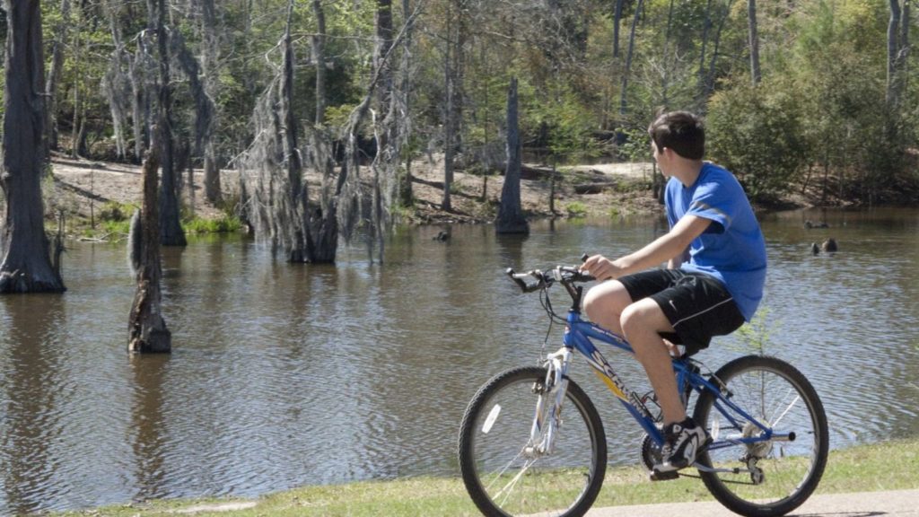 Sam Houston Jones State Park Lake Charles.