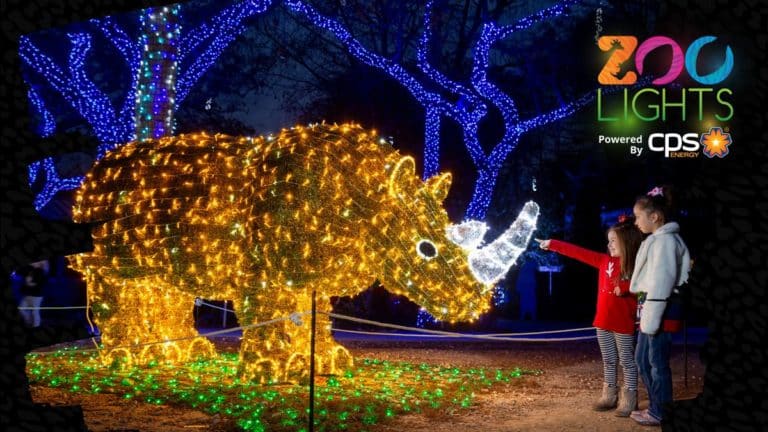 Zoo Lights is happening now at the San Antonio Zoo