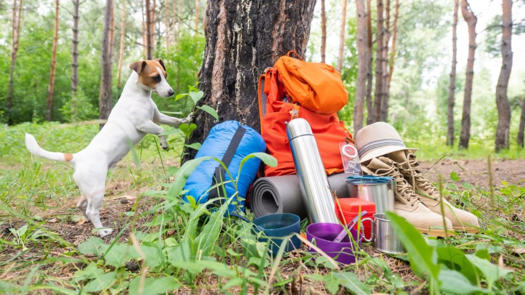 Tent camping family travel.