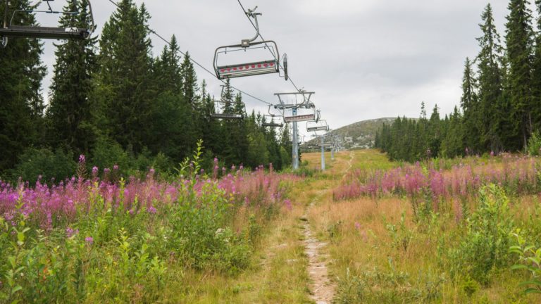 Ski Resorts Aren’t Just For Winter: 11 Four Season Resorts With Excellent Summer Scenes