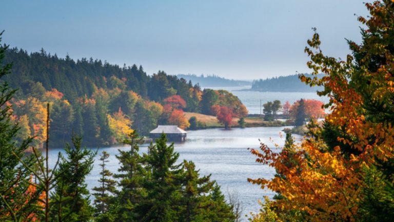 Best National Parks to See Fall Foliage